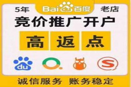 某行业领军企业的SEM广告投放策略
